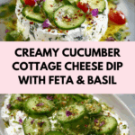Cucumber Cottage Cheese Dip Recipe