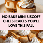 No Bake Mini Biscoff Cheesecakes Recipe